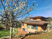 Villa in vendita a Massarosa, Piano di Mommio