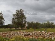 Villa in vendita a Mazara del Vallo TP