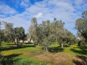 Villa in vendita a Melendugno