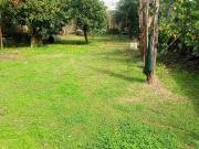 Villa in vendita a Mercato San Severino SA