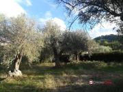 Villa in vendita a Messina