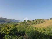 Villa in vendita a Monreale PA