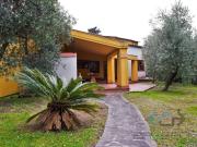 Villa in vendita a Montecarlo LU