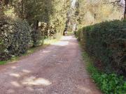 Villa in vendita a Montelupo Fiorentino