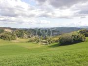 Villa in vendita a Monterenzio BO