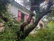 Villa in vendita a Montescudaio PI