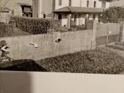 Villa in vendita a Mortegliano UD