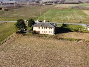 Villa in vendita a Mussolente VI