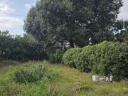Villa in vendita a Nettuno RM