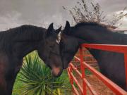 Villa in vendita a Nettuno RM