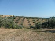 Villa in vendita a Notaresco TE