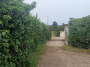 Villa in vendita a Noto