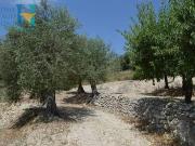 Villa in vendita a Noto