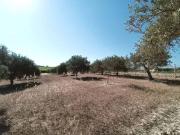 Rustico / Casale in vendita a Noto SR