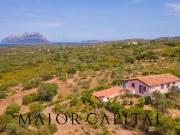 Villa in vendita a Olbia