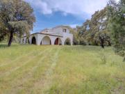 Villa in vendita a Olbia SS