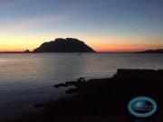 Villa in vendita a Olbia SS