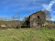 Villa in vendita a Olevano Romano RM