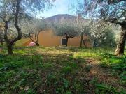 Villa in vendita a Ombreglio di Brancoli Lucca 250 mq...