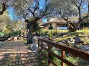 Villa in vendita a Orbetello GR