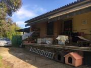 Villa in vendita a Orte VT