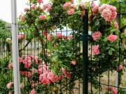 Villa in vendita a Ortona CH