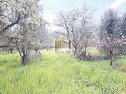 Villa in vendita a Orvieto TR