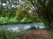 Villa in vendita a Padova