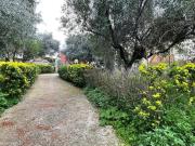 Villa in vendita a Palestrina RM