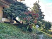 Villa plurifamiliare in vendita a Piacenza
