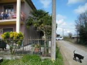 Villa in vendita a Piazzola sul Brenta PD