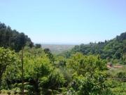 Villa in vendita a Pietrasanta