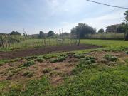 Villa in vendita a Pietrasanta LU