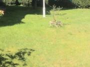 Villa in vendita a Pietrasanta LU