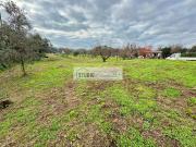 Villa in vendita a Pietrasanta, Strettoia