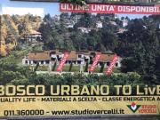 Villa in vendita a Pino Torinese TO