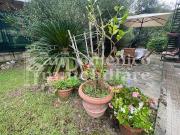 Villa in vendita a Pisa PI