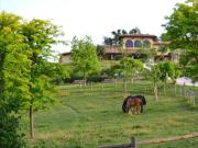 Villa in vendita a Poggio Catino RI