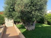 Villa in vendita a Polignano a Mare BA