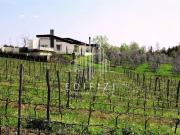 Villa in vendita a Pontedera