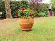 Villa in vendita a Pontedera PI