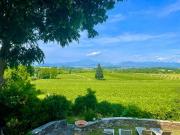 Villa in vendita a Ponti sul Mincio MN
