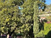 Villa in vendita a Prato PO