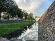 Villa in vendita a Preganziol TV