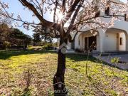 Villa in vendita a Quartu Sant'Elena CA