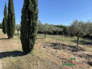 Villa in vendita a Ragusa