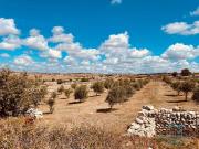 Villa in vendita a Ragusa RG
