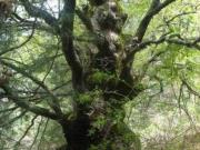 Villa in vendita a Reggio Emilia