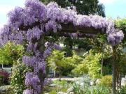 Villa in vendita a Reggio Emilia