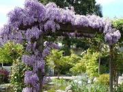 Villa in vendita a Reggio Emilia RE